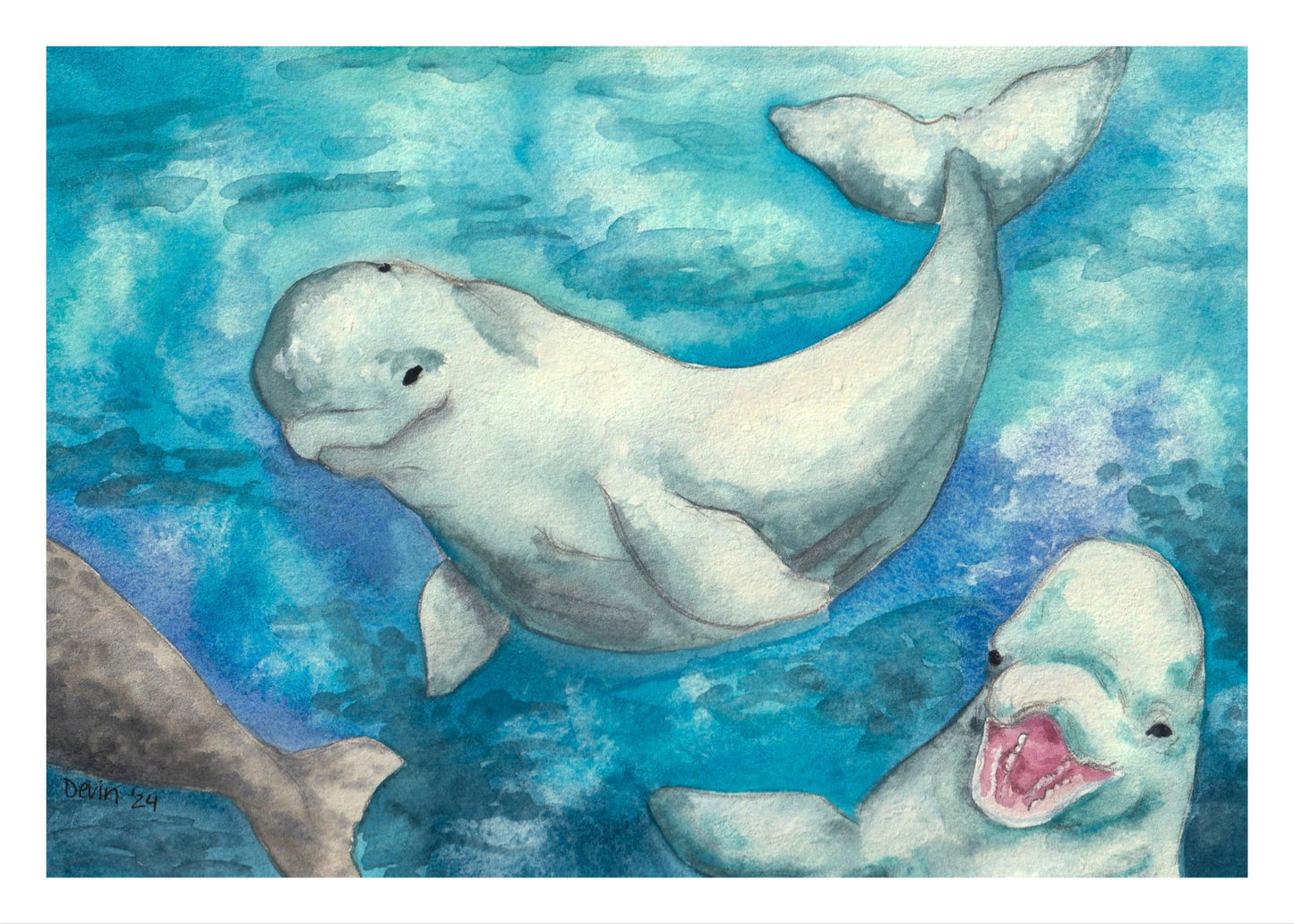 Beluga Print