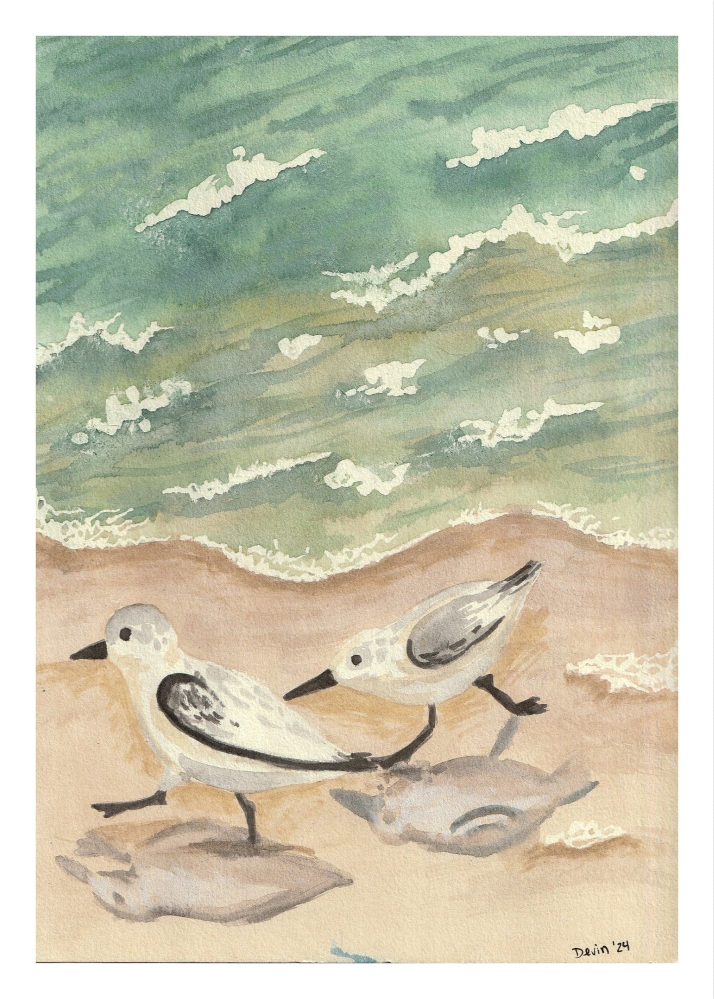 Sandpiper Print