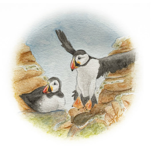 Puffin Print