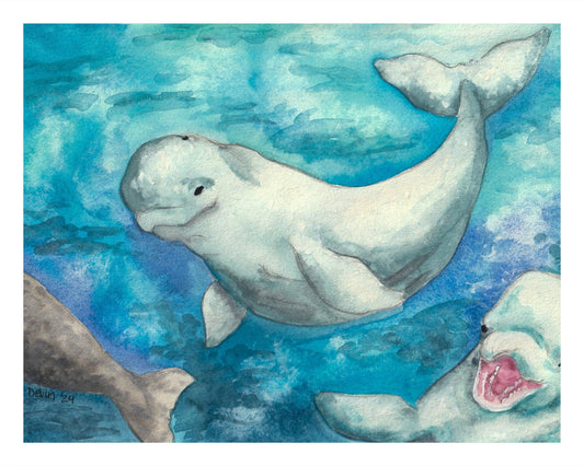 Beluga Print