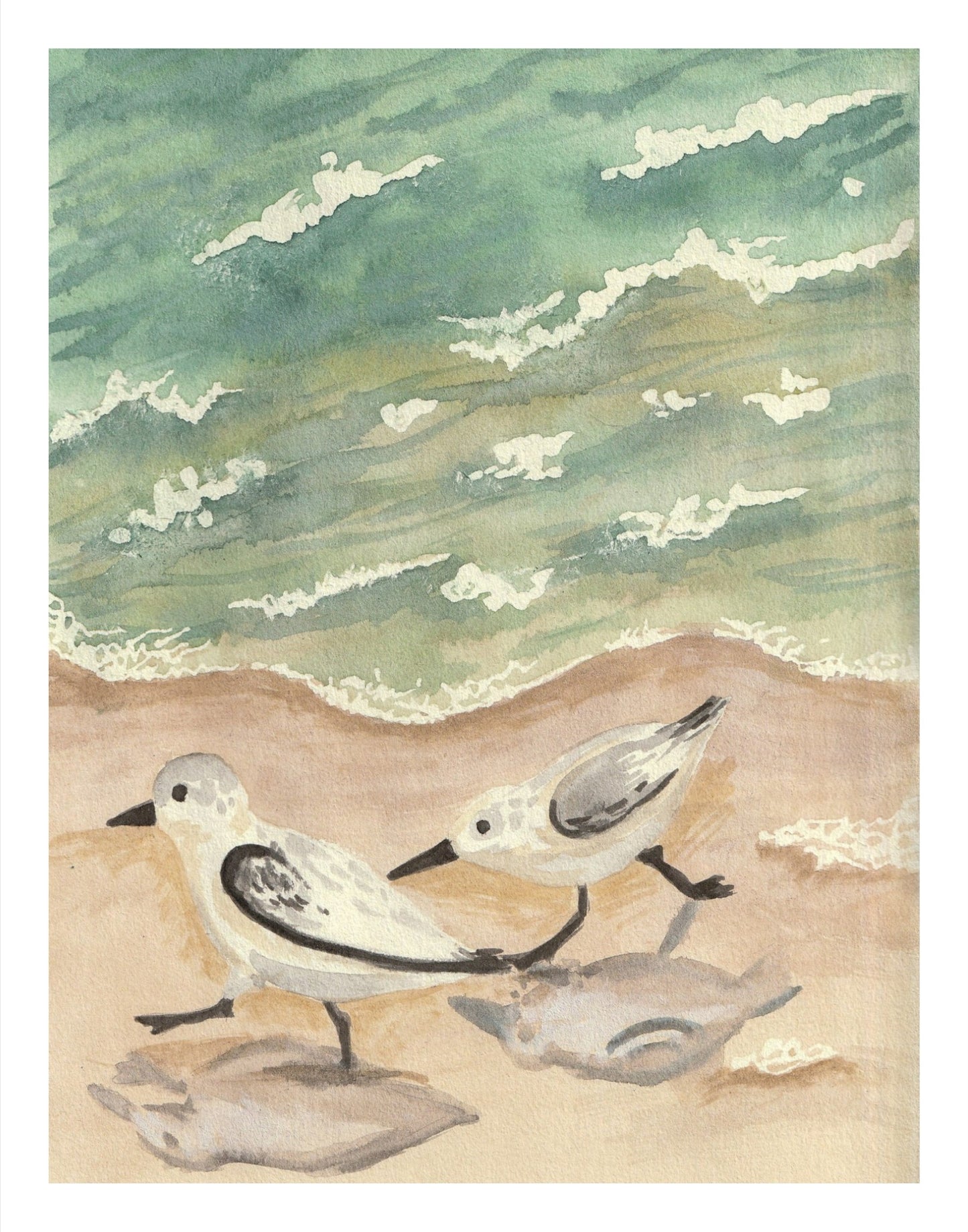 Sandpiper Print