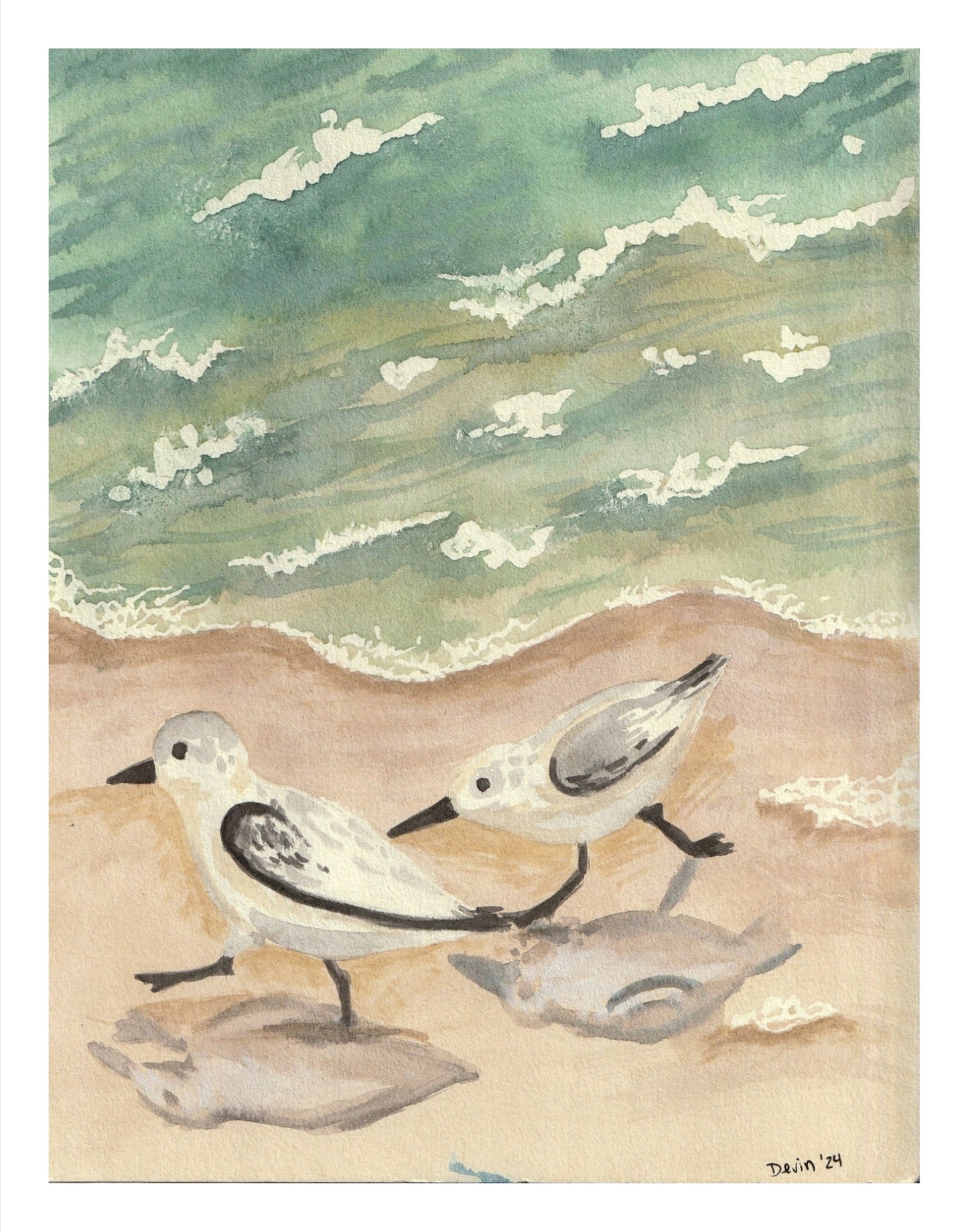 Sandpiper Print