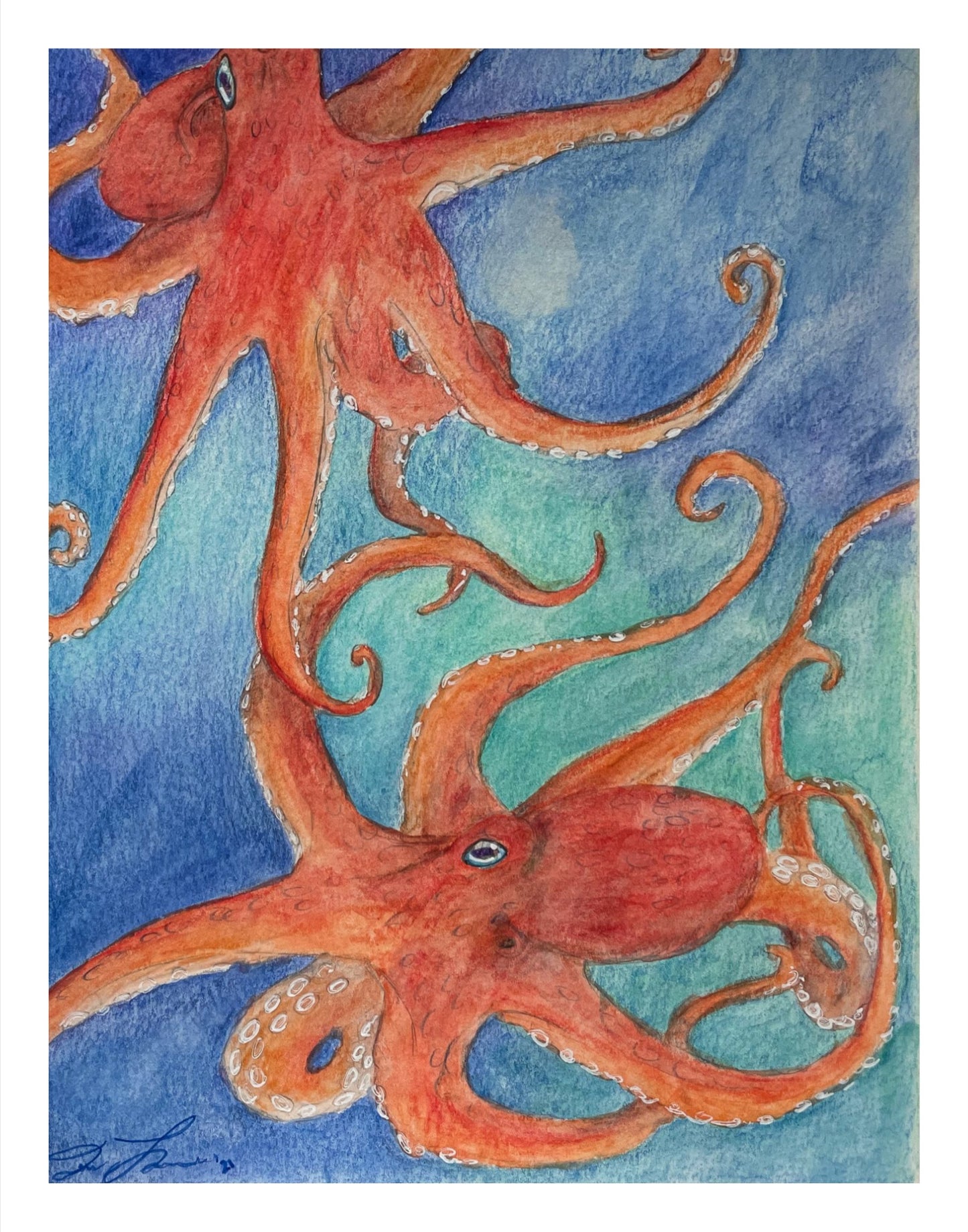 Octopus Print