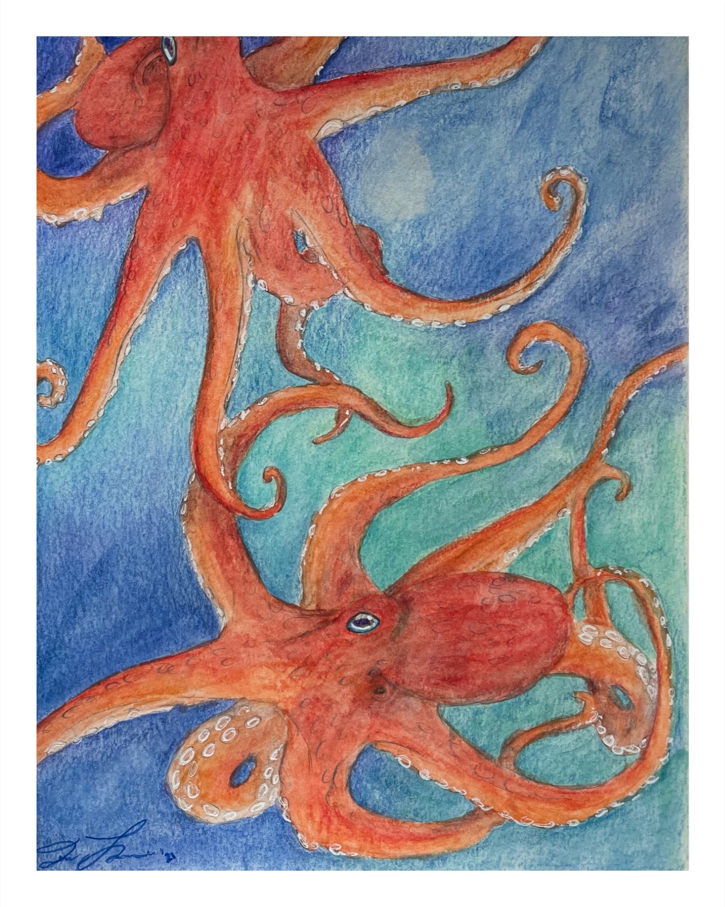 Octopus Print