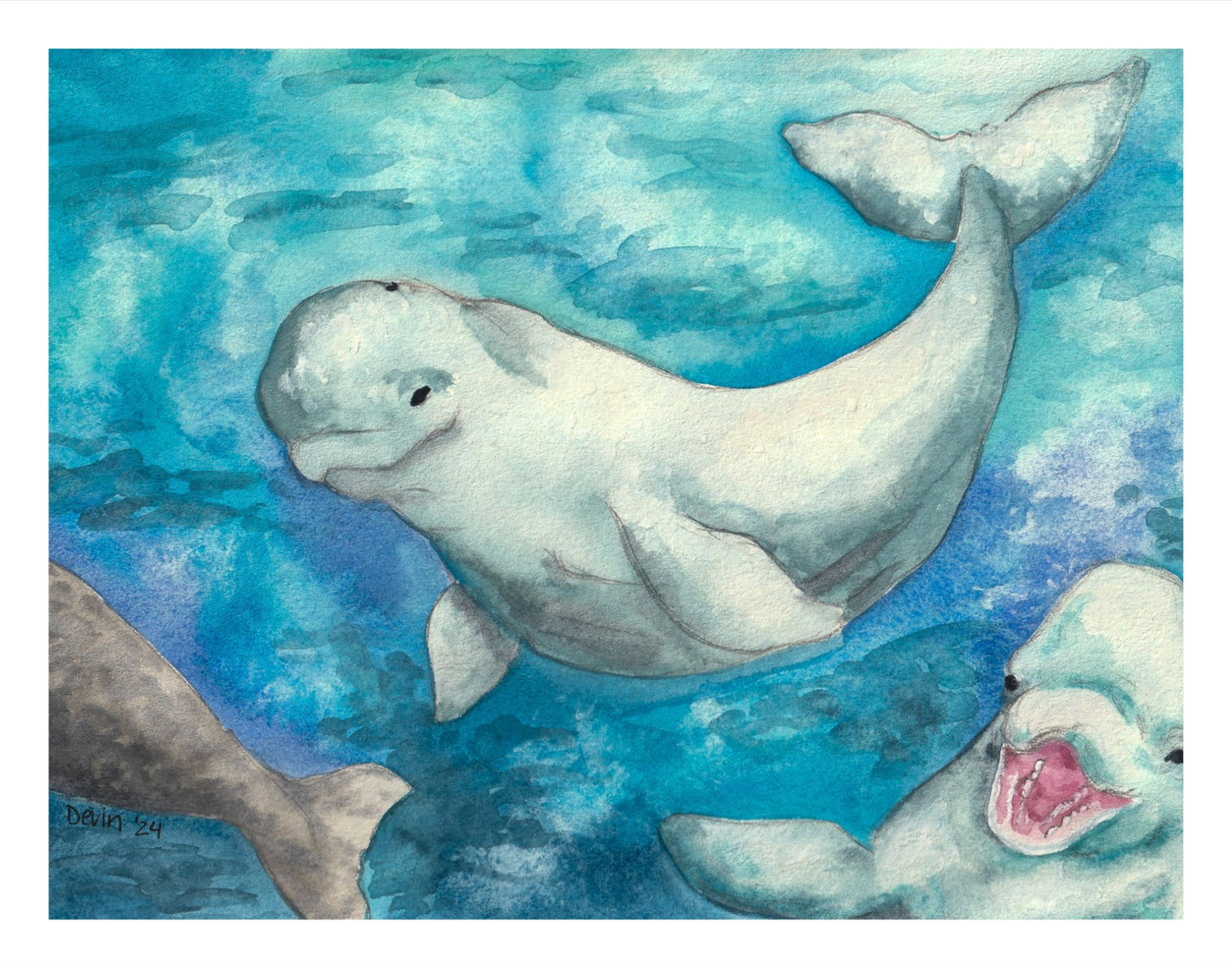 Beluga Print