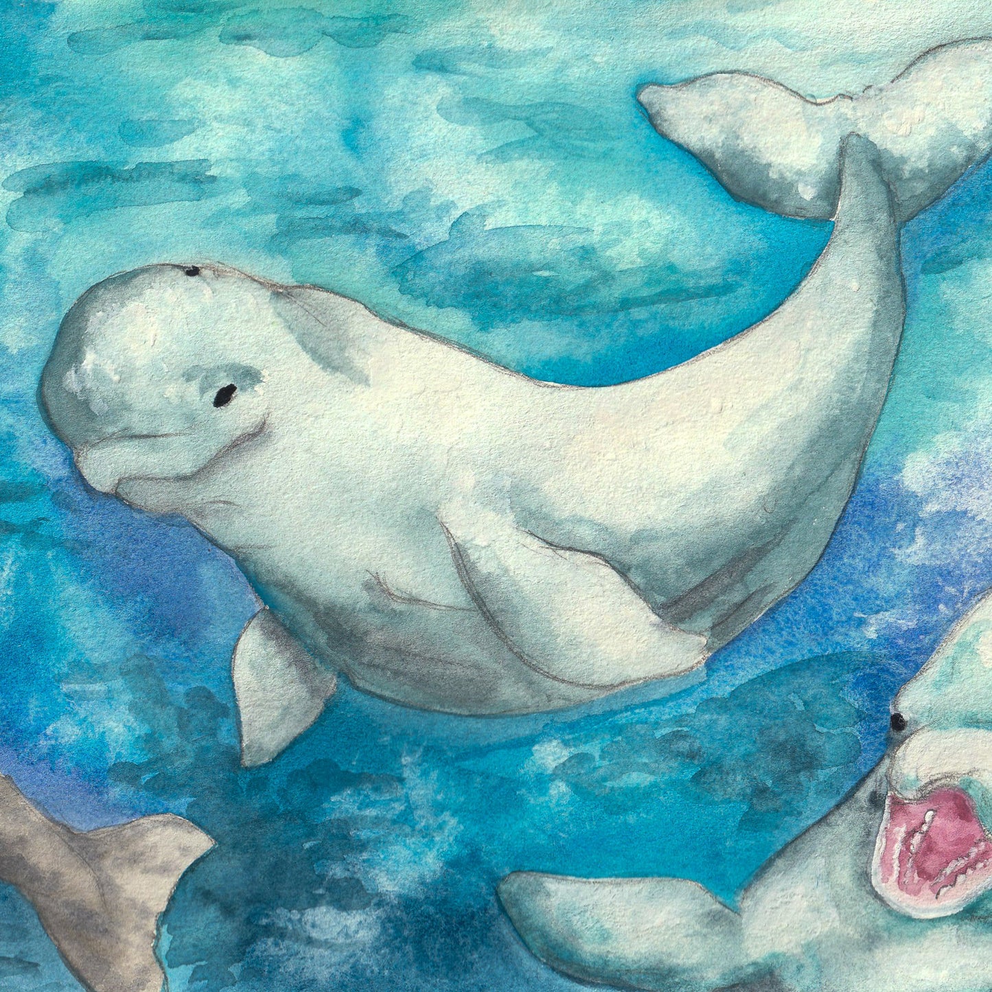 Beluga Print