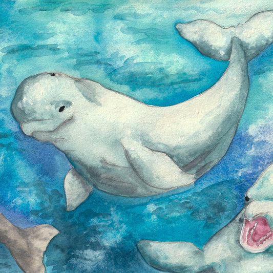 Beluga Print